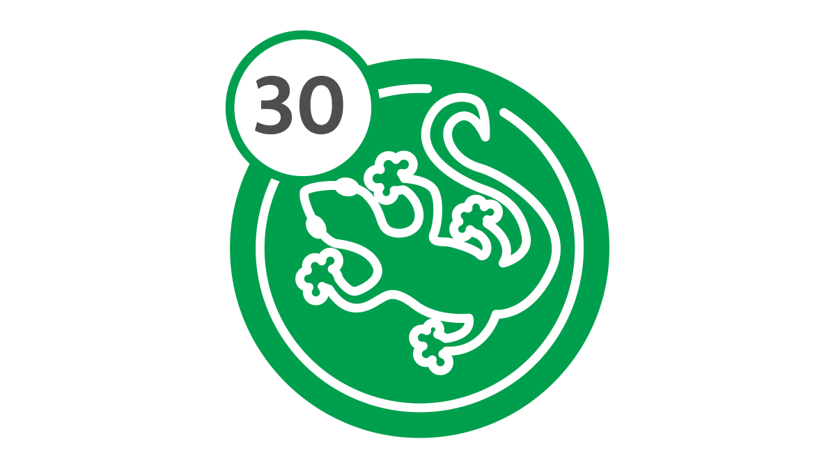 Bus Route 30 - Lizard