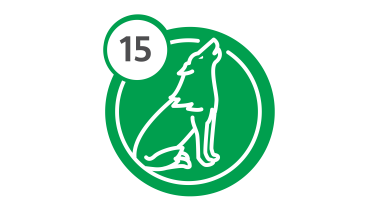 Bus Route 15 - Wolf Bus Route 15 - Wolf