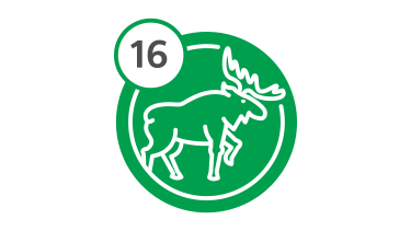 Bus Route 16 - Moose Bus Route 16 - Moose