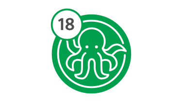 Bus Route 18 - Octopus Bus Route 18 - Octopus