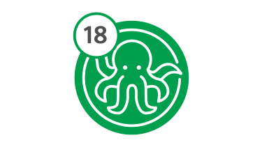 Bus Route 18 - Octopus