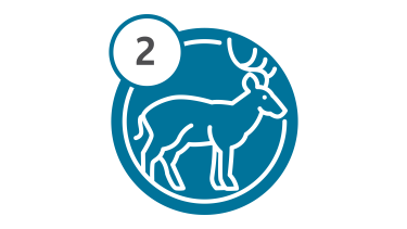 Bus Route 2 - Deer Bus Route 2 - Deer