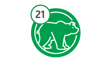 Bus Route 21 - Bear