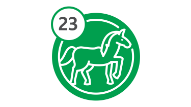 Bus Route 23 - Horse Bus Route 23 - Horse