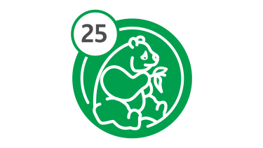 Bus Route 25 - Panda