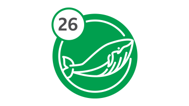 Bus Route 26 - Whale