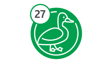 Bus Route 27 - Duck Bus Route 27 - Duck