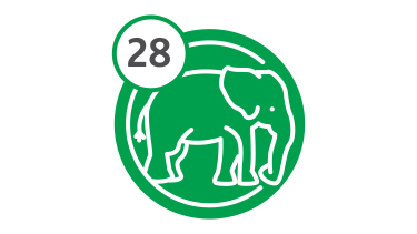 Bus Route 28 - Elephant Bus Route 28 - Elephant