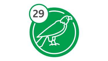 Bus Route 29 - Eagle