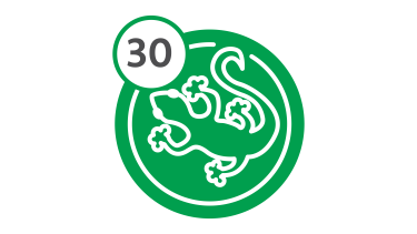 Bus Route 30 - Lizard Bus Route 30 - Lizard