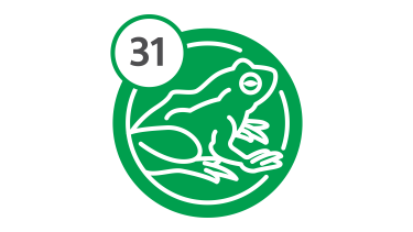 Bus Route 31 - Frog Bus Route 31 - Frog