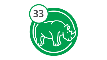 Bus Route 33 - Rhino
