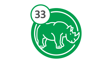 Bus Route 33 - Rhino Bus Route 33 - Rhino