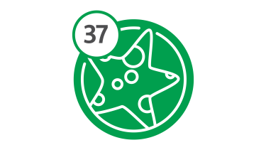 Bus Route 37 - Starfish Bus Route 37 - Starfish