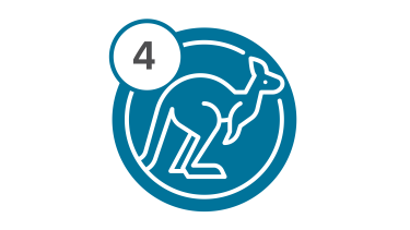 Bus Route 4 - Kangaroo Bus Route 4 - Kangaroo