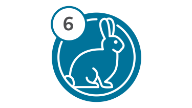 Bus Route 6 - Rabbit Bus Route 6 - Rabbit