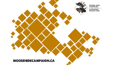 Graphic of a map of Canada made to look like a pixelated piece of moosehide