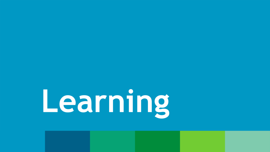Blue background with green and blue colour bar at the bottom and the word, "Learning" in white lettering just above the colour bar.