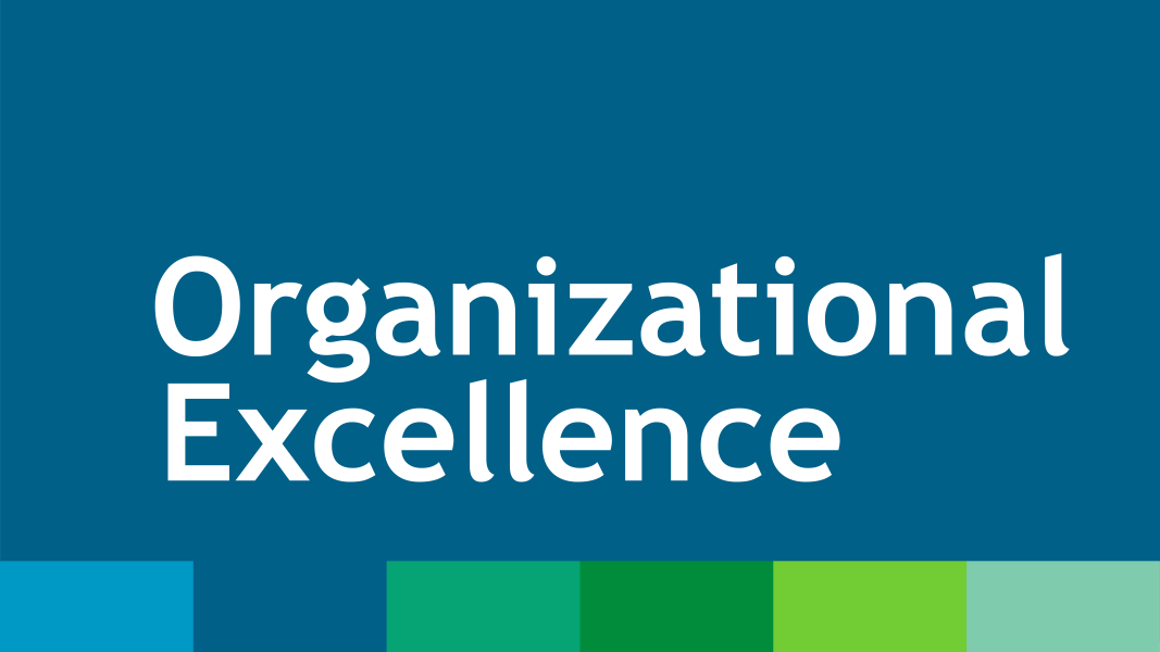 Dark blue rectangle with white text reading, "Organizational Excellence" andblue and green colour bar at bottom.