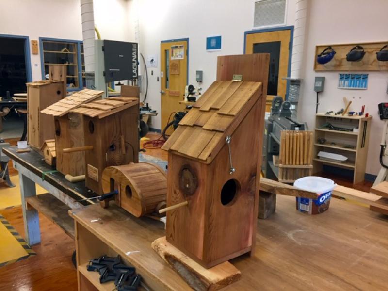 Highschool woodshop with tools in background and newly constructed cedar birdhouses with shake roofs on a woodworking bench in the foreground 