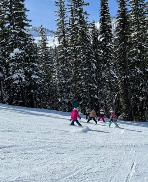 snowy ski run with children and evergreen trees in the foreground, skiing down a beginner's run.
