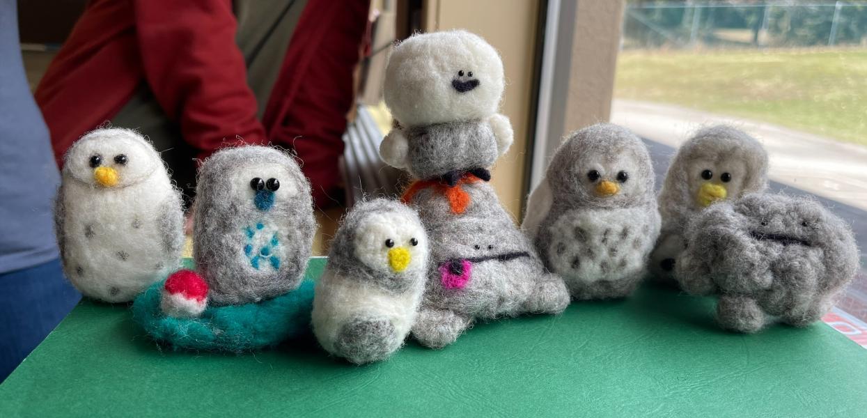 Photo of felted owls sitting on a table by a window in an elementary school. 