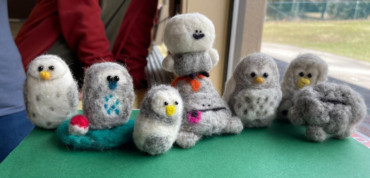 Felted owls made by grades 5, 6 and 7 students. Photo of felted owls sitting on a table by a window in an elementary school.